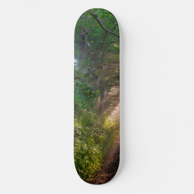 Forest trail skateboard (Front)