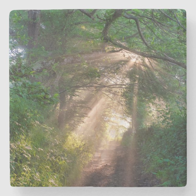Forest trail stone coaster (Front)