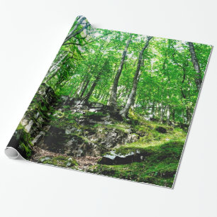 Forest Trails Walking in Wales Neath Valley Wrapping Paper