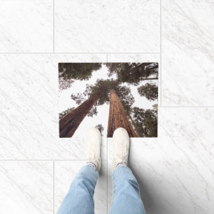 forest, tree doormat