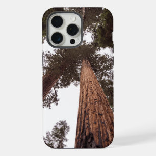 forest, tree iPhone 15 pro max case
