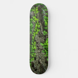 Forest Tree Skateboard Deck