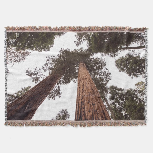 forest, tree throw blanket (Front)