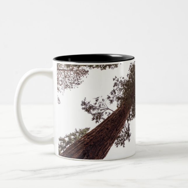 forest, tree Two-Tone coffee mug (Left)