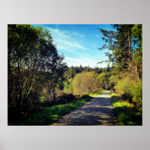 Forest Trees along walking path Gorgeous day Poste