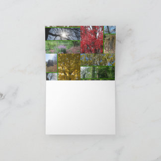 Forest/Trees Collage Thank You Card
