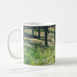 Forest trees. nature green wood sunlight backgroun coffee mug