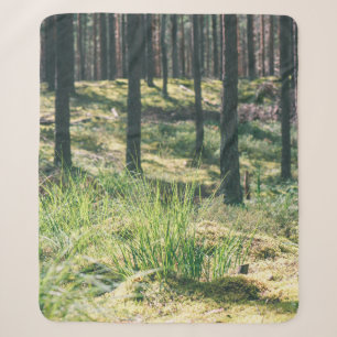 Forest trees. nature green wood sunlight backgroun sherpa blanket