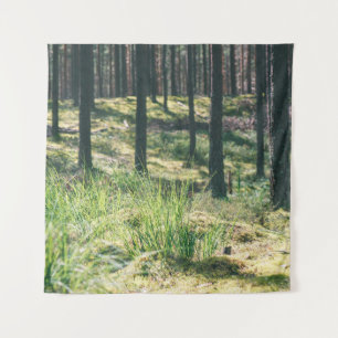 Forest trees. nature green wood sunlight backgroun tapestry