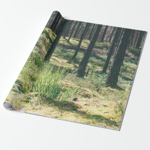 Forest trees. nature green wood sunlight backgroun wrapping paper