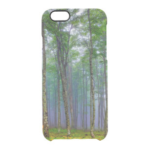 Forest trees near the Col de Bentarte  Clear iPhone 6/6S Case