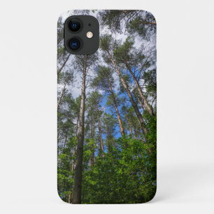 Forest Trees Sky Belarus Nature iPhone 11 Case