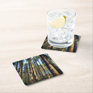 Forest Trees Square Paper Coaster