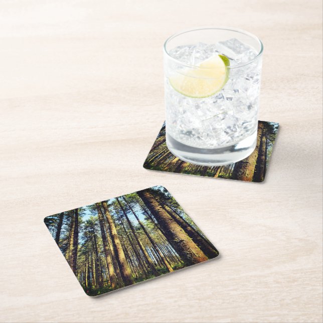 Forest Trees Square Paper Coaster (Insitu)