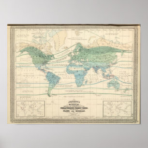 Forest Trees, Useful Plants, and Minerals Poster