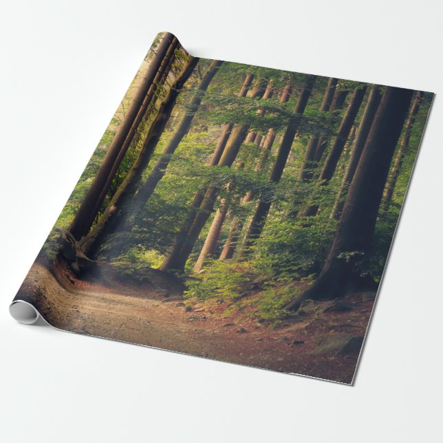 FOREST TREES WRAPPING PAPER (Unrolled)