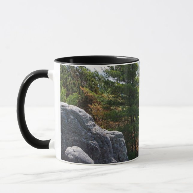 Forest Valley Overlook at Castle Mound Mug (Left)