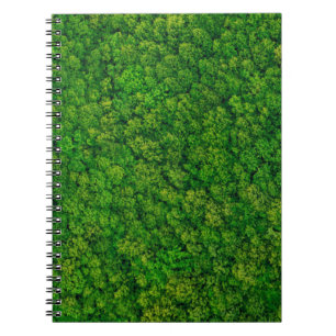 Forest view from above, aerial top view with copy notebook