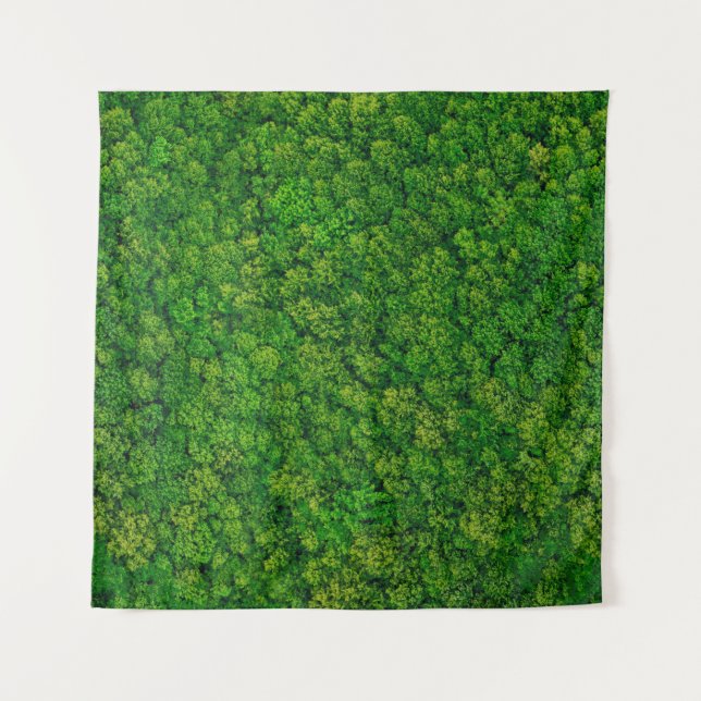 Forest view from above, aerial top view with copy  tapestry (Front)