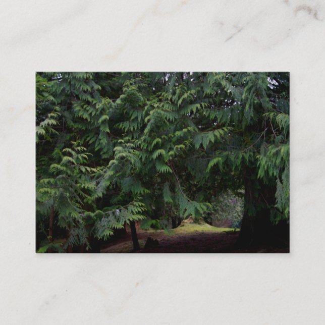 Forest Walk Business Card (Front)