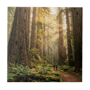 Forest Walk Ceramic Tile