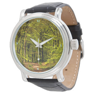 Forest Walk in Spring Watch