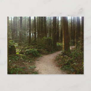 Forest Walk Postcard