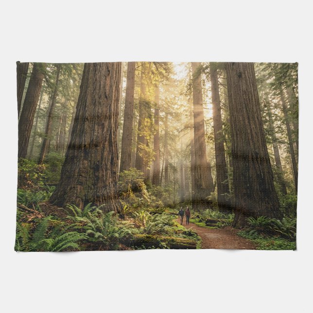 Forest Walk Tea Towel (Horizontal)