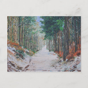 Forest walk, Yorkshire, England. Postcard