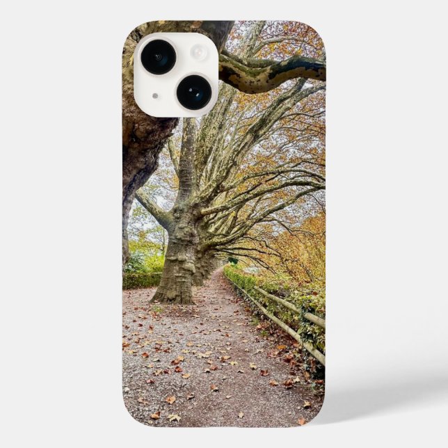 Forest Walkway Iphone Phone case (Back)