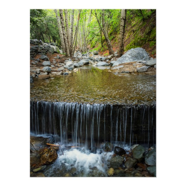 Forest Waterfall Cascade – Mountain Stream Print (Front)