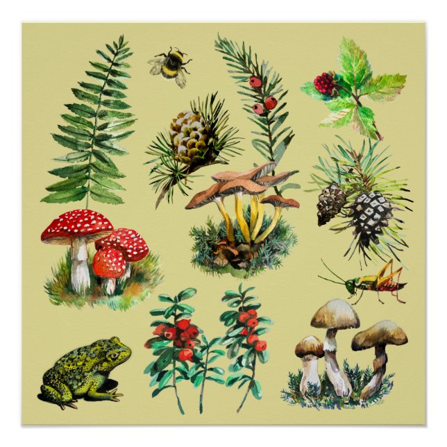 Forest, wild mushrooms poster (Front)