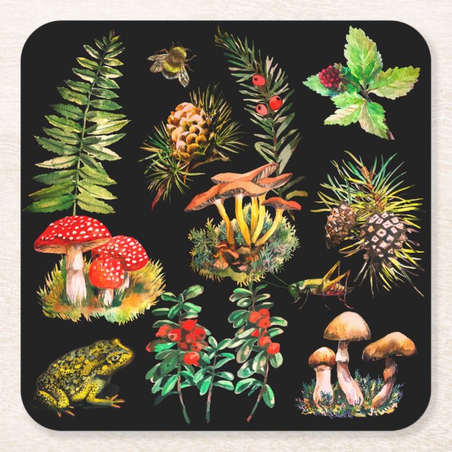 Forest, wild mushrooms square paper coaster (Front)