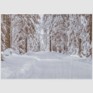 Forest Winter 11 Decoupage Tissue Paper