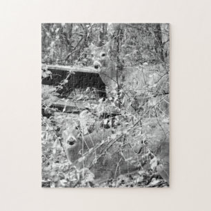 Forest with Whitetail Deer Puzzle