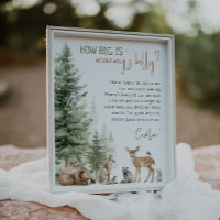 Forest Woodland Animals How Big Is Mummy's Belly