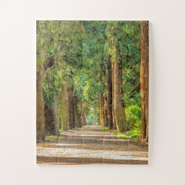 FOREST WOODS PEACEFUL TRAIL JIGSAW PUZZLE (Vertical)
