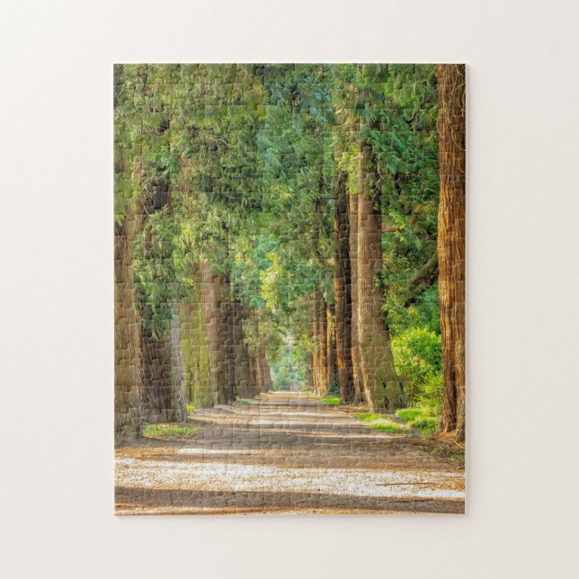 FOREST WOODS TRAINQUIL TRAIL JIGSAW PUZZLE (Vertical)