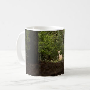 Forests A White Tailed Deer in the Woods Coffee Mug
