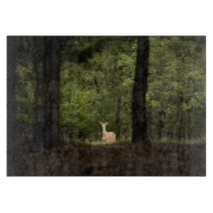Forests A White Tailed Deer in the Woods Cutting Board