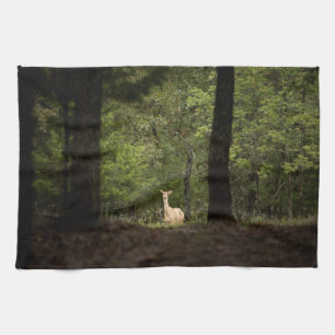 Forests A White Tailed Deer in the Woods Tea Towel