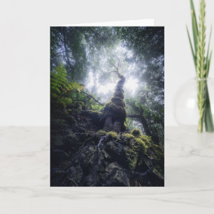 Forests   Anaga Rural Park Canary Islands Card