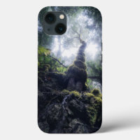 Forests | Anaga Rural Park Canary Islands