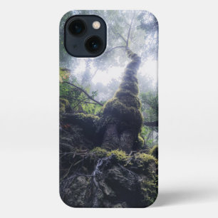 Forests   Anaga Rural Park Canary Islands iPhone 13 Case
