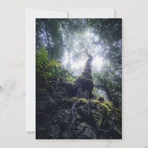 Forests   Anaga Rural Park Canary Islands Thank You Card