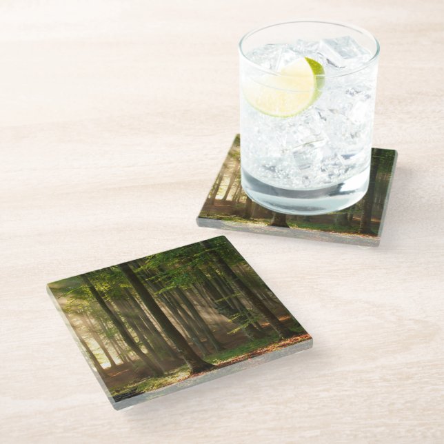 Forests | Autumn Forest Glass Coaster (Angled)