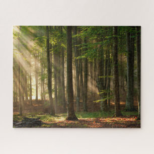 Forests Autumn Forest Jigsaw Puzzle