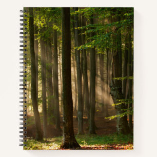 Forests Autumn Forest Notebook