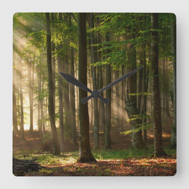 Forests | Autumn Forest Square Wall Clock (Front)