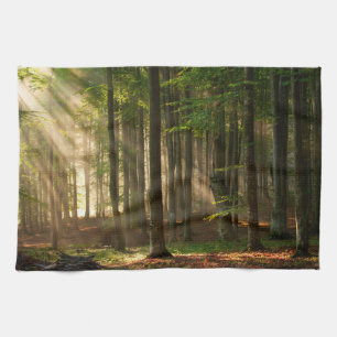 Forests   Autumn Forest Tea Towel